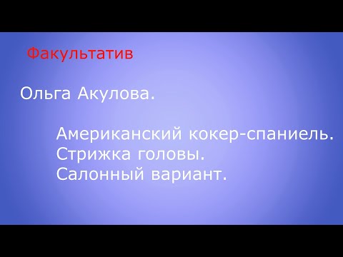 Видео: Факультатив!!! Американский кокер-спаниель. Стрижка головы. Салонный вариант.