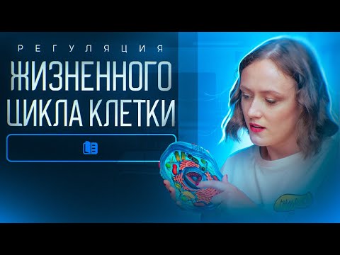Видео: Эволюция митоза. Регуляция жизненного цикла | ЕГЭ по биологии 2025