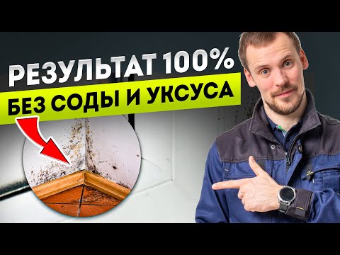 Видео: Проверьте СЕЙЧАС Эти 3 точки у себя дома: Самое эффективное решение от Плесени!