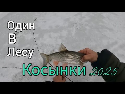 Видео: КОСЫНКИ 2025. ДЕНЬ 2-ОЙ. СНОВА ГОЛАВЛИ ПРУТ. ПОГОДА ПОРТИТЬСЯ.