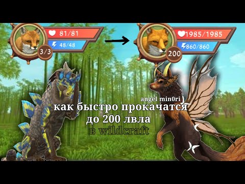 Видео: Как быстро прокачаться в WILDCRAFT ? все просто! 🦉#вилдкрафт #wildcraft #прокачка