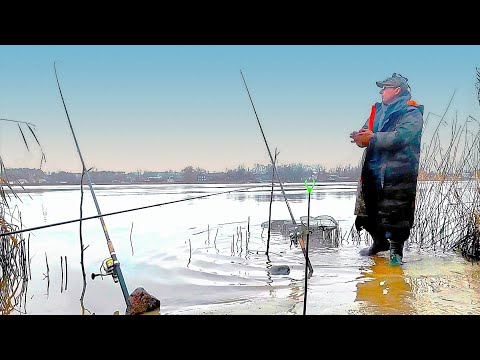 Видео: Речные ЛЕЩИ перед ледоставом ! Фидерная ловля ЛЕЩА на большой реке !!! Рыбалка на Фидер.