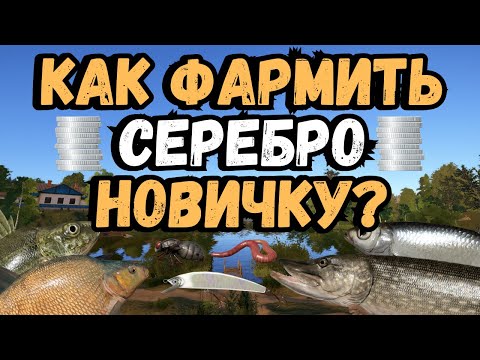 Видео: КАК ФАРМИТЬ СЕРЕБРО НОВИЧКУ В РР4? ● Русская Рыбалка 4 | РР4