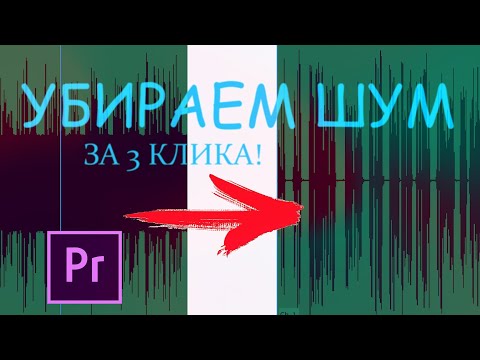 Видео: КАК УБРАТЬ ШУМ ИЗ АУДИО В ADOBE PREMIERE [4K UHD]