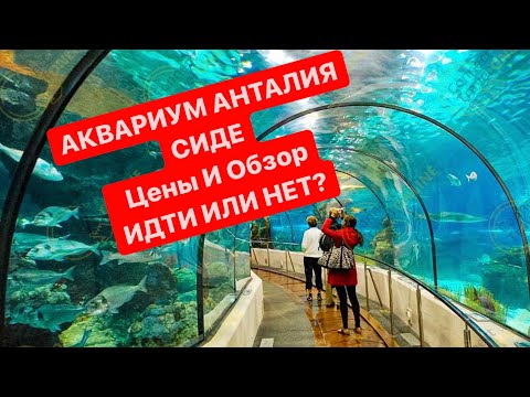 Видео: Океанариум Аквариум Турция идти или нет на экскурсию | самый большой подводный туннель в мире