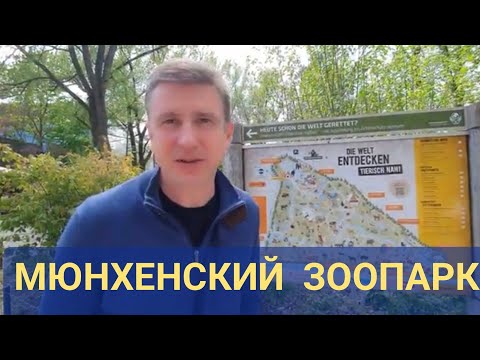 Видео: Мюнхенский зоопарк.