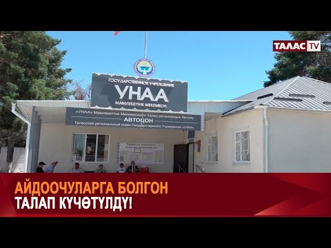 Видео: Айдоочулук күбөлүк алууга 310 миң жаран тапшырып, 77 пайызы өтпөй калган