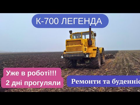 Видео: К-700 розсипався кардан. Зайшли на нові площі. Tractor 🚜. LEGENDARY K-701!