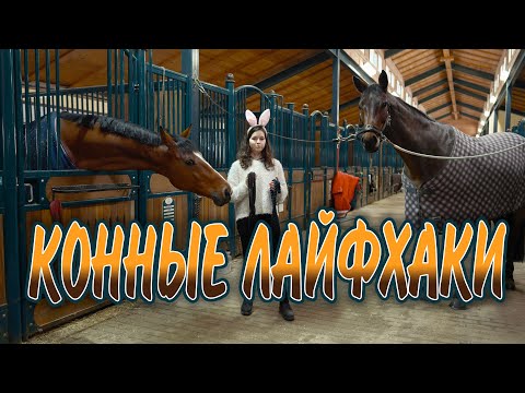 Видео: Конные лайфхаки /  Новогодний выпуск