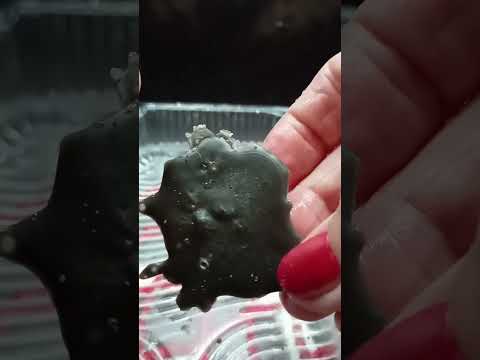 Видео: Чистка /отливка Одиноких и СЕмейных ( пару) ОТДЕЛЬНО. 