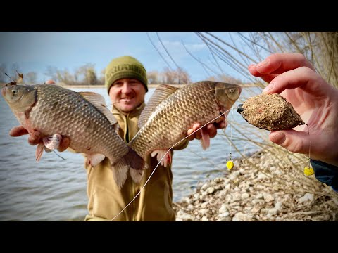 Видео: Кілограмові ЛАПТІ КАРАСІ🐟🐟🐟 ПРУТЬ ДУПЛЕТАМИ НА ФІДЕР!!!