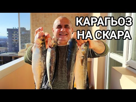 Видео: КАРАГЬОЗ НА СКАРА С ЧЕСЪН И КОМБИНИРАНА ПОДПРАВКА ЗА РИБА! НЕУСТОИМО ВКУСЕН!