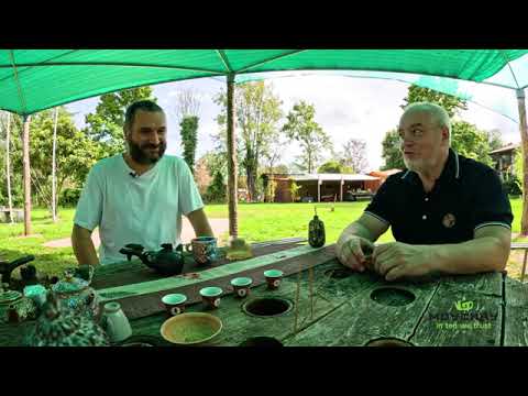 Видео: Михаил Баев  Разговор о Тайцзи Цюань