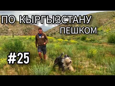 Видео: 25. Кыргызстан. От Казармана до  Джалал-Абада через новый туннель (часть первая)