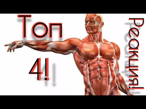 Видео: Как улучшить реакцию? Топ-4 упражнения на РЕАКЦИЮ! Лучшие упражнения для дома! Крутая реакция быстро