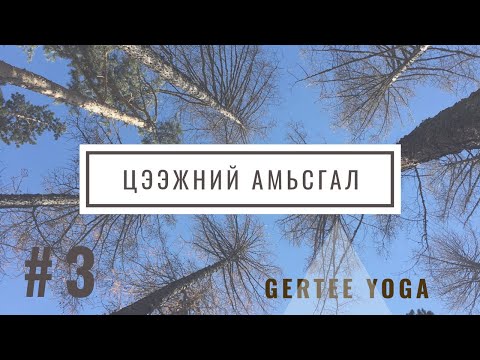 Видео: Цээжний Амьсгал #3