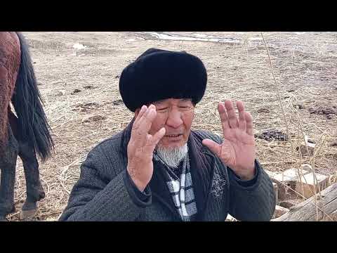 Видео: #Токтогул шаары жер талаш.  Бир жердин канча ээси бар. 22 жылдан бери таппай жатат.