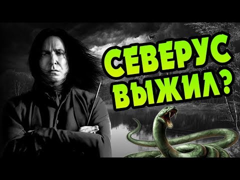 Видео: Что Если Северус Снегг Остался в Живых?
