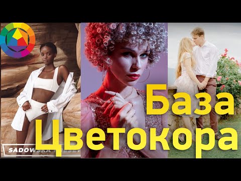 Видео: Основы Цветокоррекции. Структура Тонировок и любой обработки фото. Цветокоррекция в Lightroom.