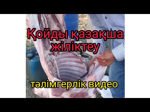 Видео: Бауыздалған қойдың етін жіліктеп бұзу. Тәлімгерлік видео