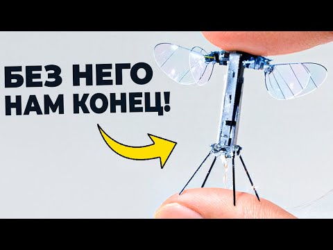 Видео: Пчелы УМИРАЮТ! Как РОБОТЫ остановят Конец Света?
