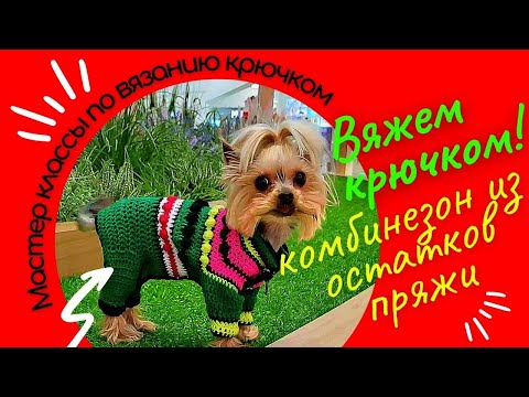 Видео: Вяжем крючком комбинезон для собак с закрытыми лапами - Мастер класс | Crochet dog overalls