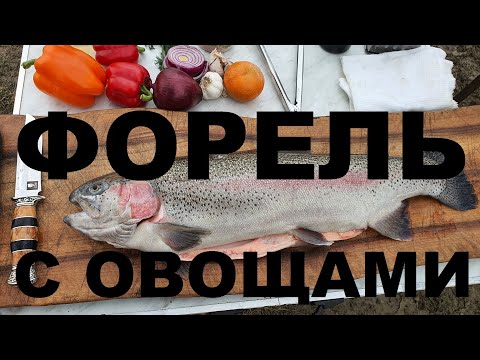 Видео: Рыбалка на форель в Kaif Fishing. Рыба с овощами на костре. Чай из самовара на дровах. Рецепты СЮФ