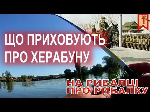 Видео: Чим відрізняється херабуна від решти азійських стилей
