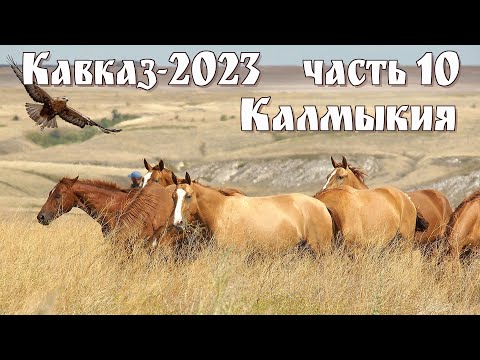 Видео: Кавказ-2023, часть 10-я: Загадочная Калмыкия и город Элиста  |  Kalmykia and the city of Elista