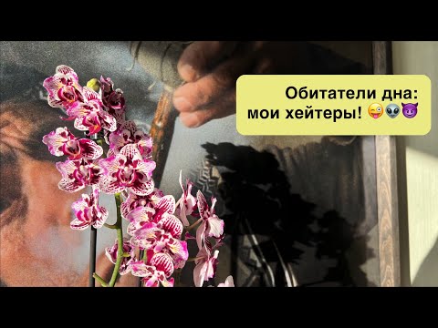 Видео: Новое название старой рубрики: ОБИТАТЕЛИ ДНА!