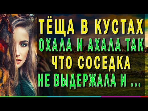 Видео: ТЕЩА И ЗЯТЬ – СЛУЧАЙ В ШИПОВНИКЕ. Реальные истории из жизни. Интересные аудио рассказы про тещу