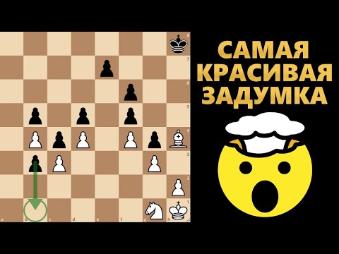 Видео: Самая красивая задумка! #шахматы #chess #этюды