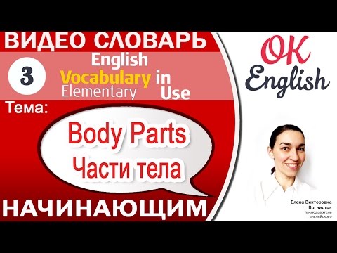 Видео: Тема 3 Parts of the Body - Части тела на английском.📕 Английский видео словарь для начинающих