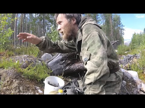 Видео: Море черники