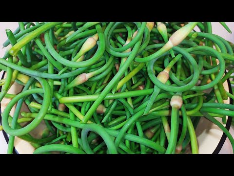 Видео: Что делать С ЧЕСНОЧНЫМИ СТРЕЛКАМИ? Приготовила вкусную ПРИПРАВУ.