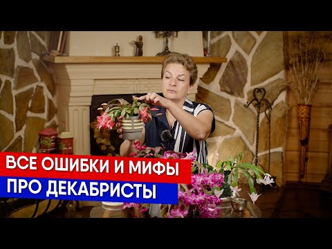 Видео: Все ошибки и мифы про декабристы