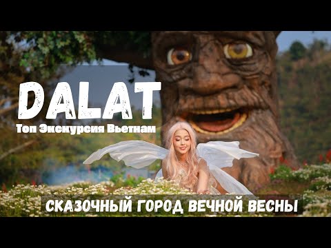 Видео: ДАЛАТ 2025: Что По Смотреть, Где Жить!