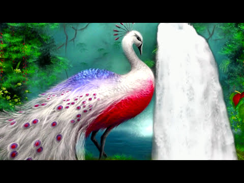 Видео: Мантра возвращения человеку здоровья, красоты, денег