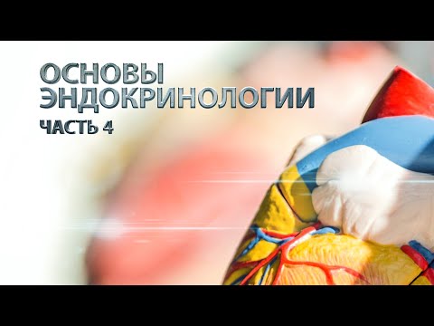 Видео: Основы эндокринологии. Часть 4.