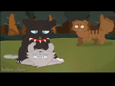 Видео: Коты воители: Избалованная Бич и Кровоцапка