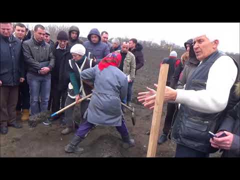 Видео: Семинар по ореховодству  Весенняя посадка  Март 2018