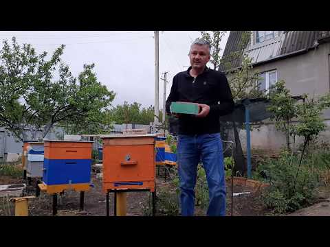 Видео: СБОР ПЫЛЬЦЫ.  Знания из прошлого.