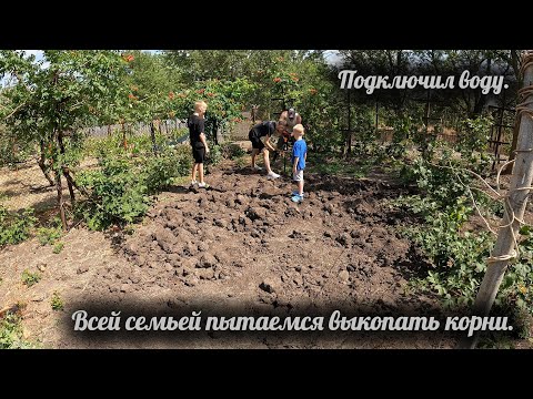 Видео: #9 Купили заброшенную дачу, расчищаем участок, подключил воду, выкапываем корни. Красим сараи и бак.