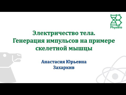 Видео: Электричество тела. Генерация импульсов на примере скелетной мышцы