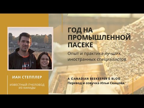 Видео: Иан Степплер: Год на промышленной пасеке (Канада)