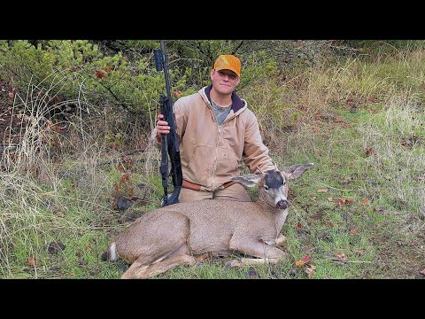 Видео: ПЕРВЫЙ ОРЕГОНСКИЙ ЧЕРНОХВОСТЫЙ ОЛЕНЬ С ДРОБОВИКОМ! УСПЕХ ПРИБРЕЖНОЙ ОХОТЫ НА ОЛЕНЬ (Кадры с Shotkam)
