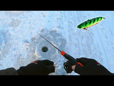 Видео: СУДАКИ СРАЗУ ОЦЕНИЛИ НОВЫЕ ПРИМАНКИ! Ловля судака и щуки на ВИБЫ (ратлины) со льда! Зимняя рыбалка!