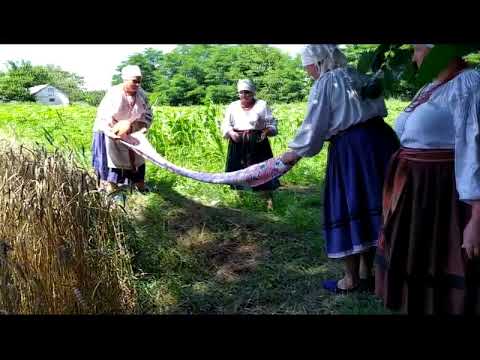 Видео: "Гаряча пора" (жнива). Нар. амат. анс. "Калинова родина" (с. Кантакузівка, Драбівський р-н)