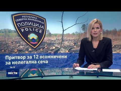 Видео: Вести во 16:00 на Сител Телевизија, 20.09.2025