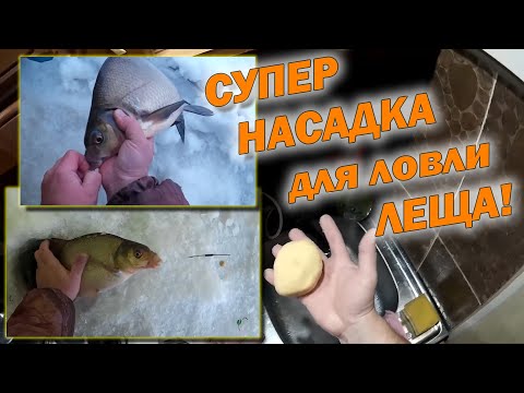 Видео: СУПЕР НАСАДКА для ловли леща! Гороховое тесто с чесноком